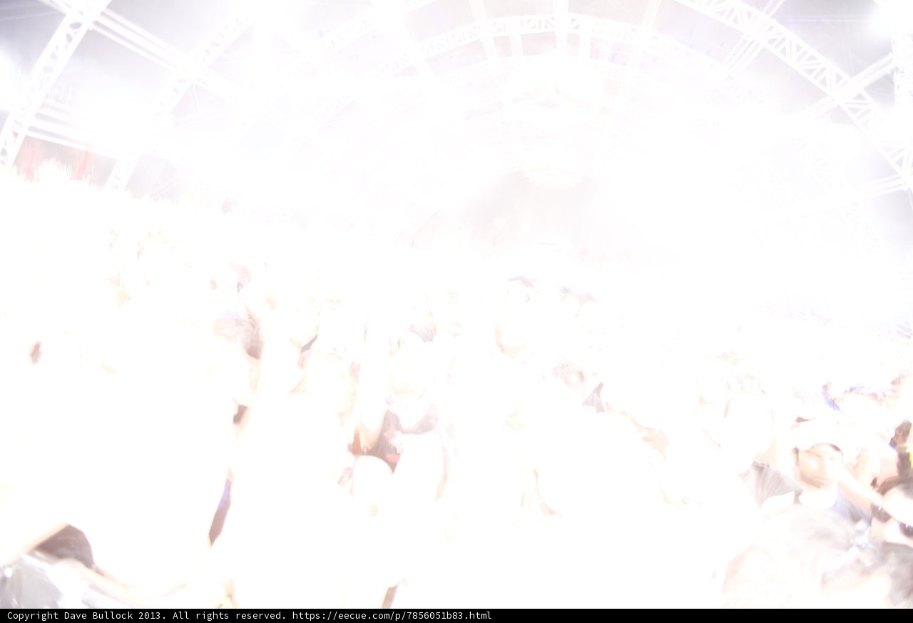 Bright Lights & Excited Faces at Coachella