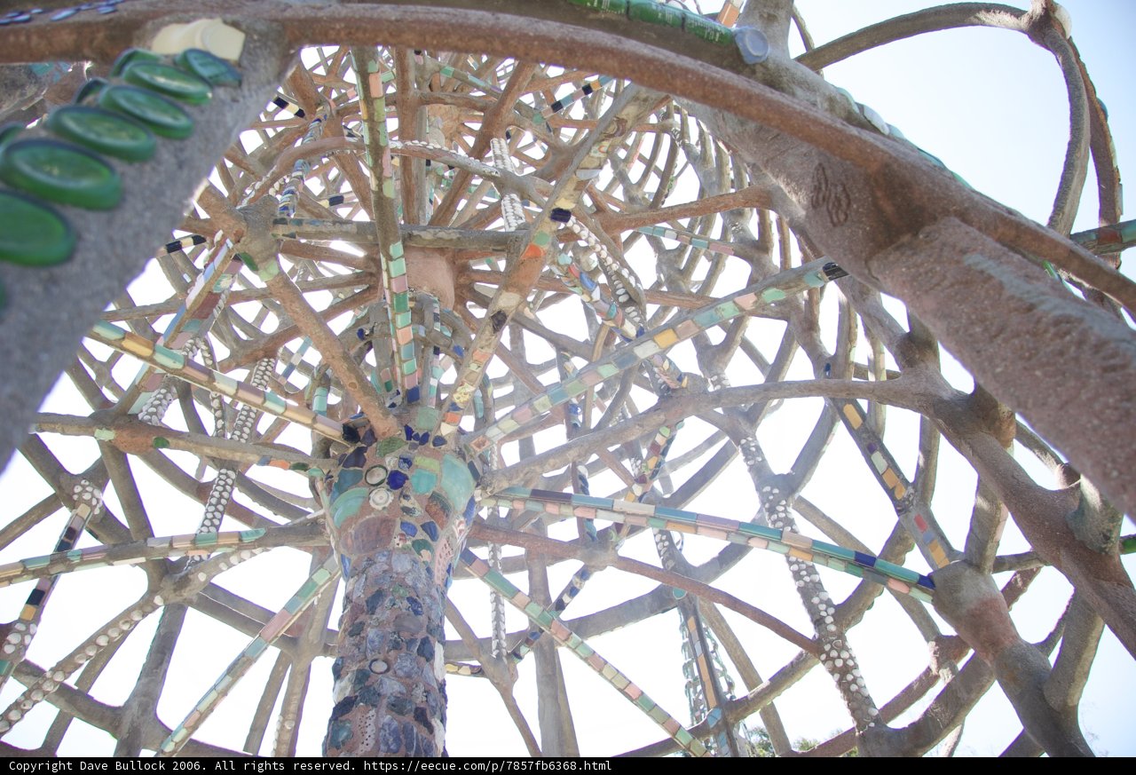 Burning Tree of Life