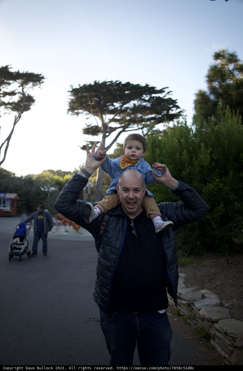 Cherished Moments at SF Zoo