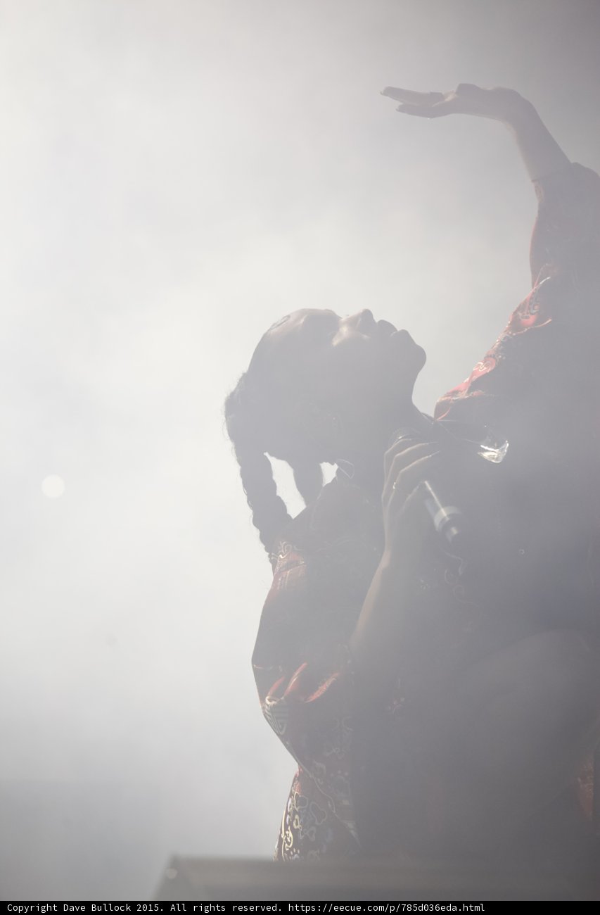 FKA twigs Silhouette Looking Up Arm Raised Extended Hand Singing Red Brocade Kimono Braided Ponytails Lens Flare Haze