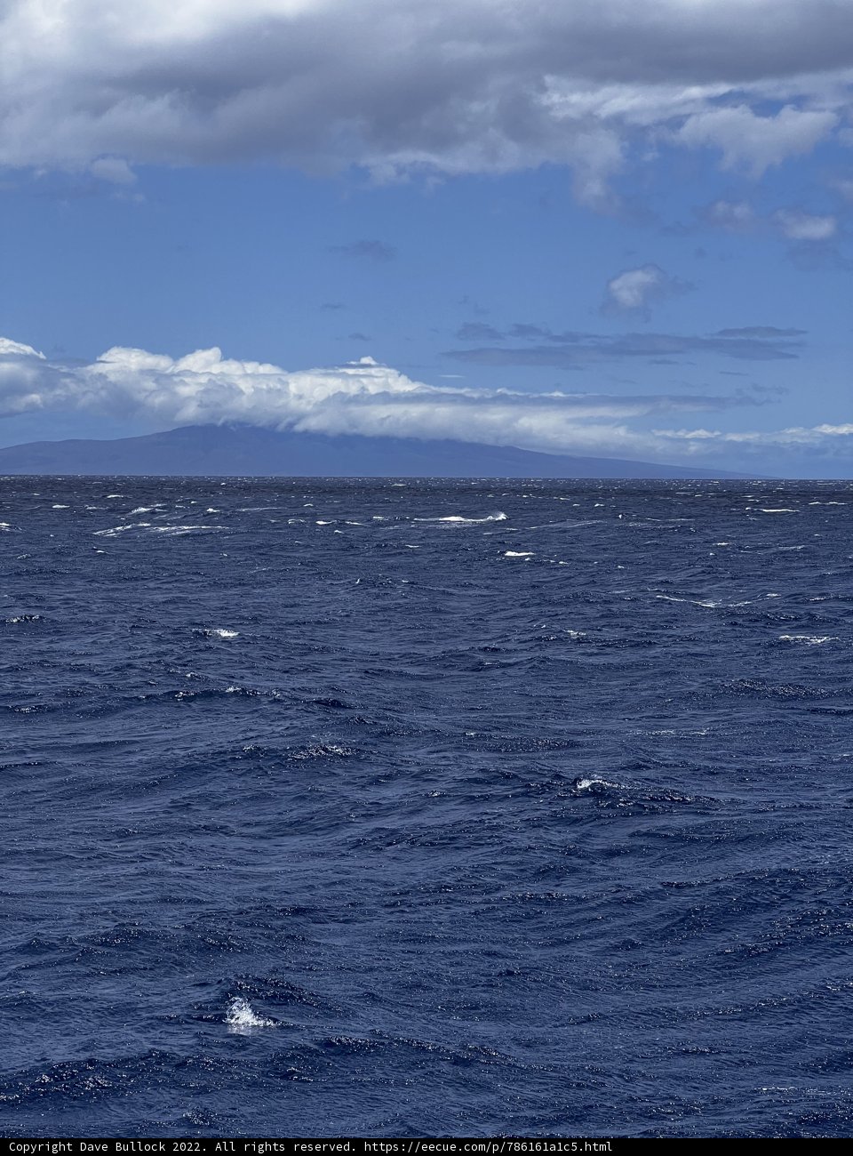 Ocean Blues