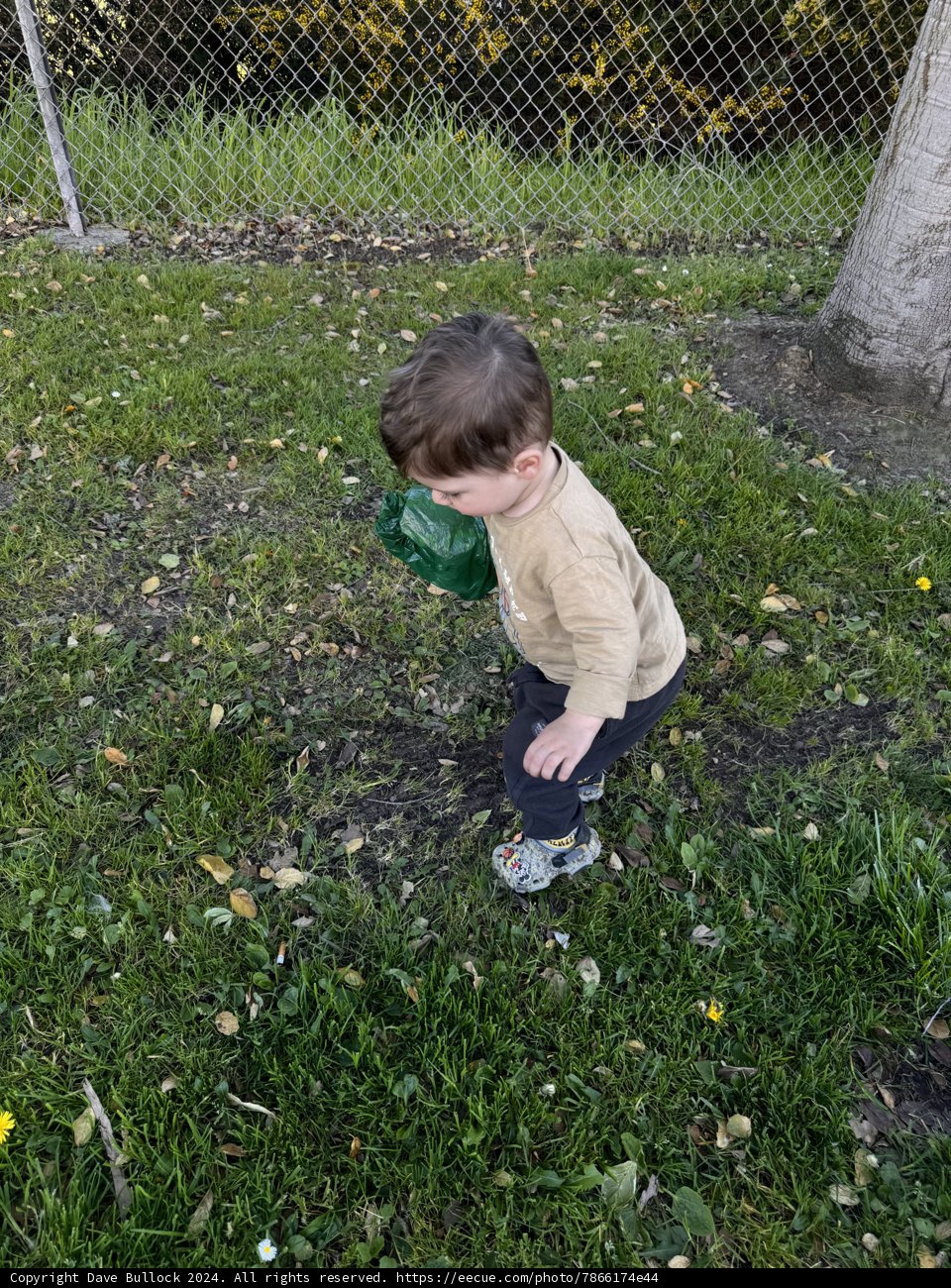 Springtime Discovery