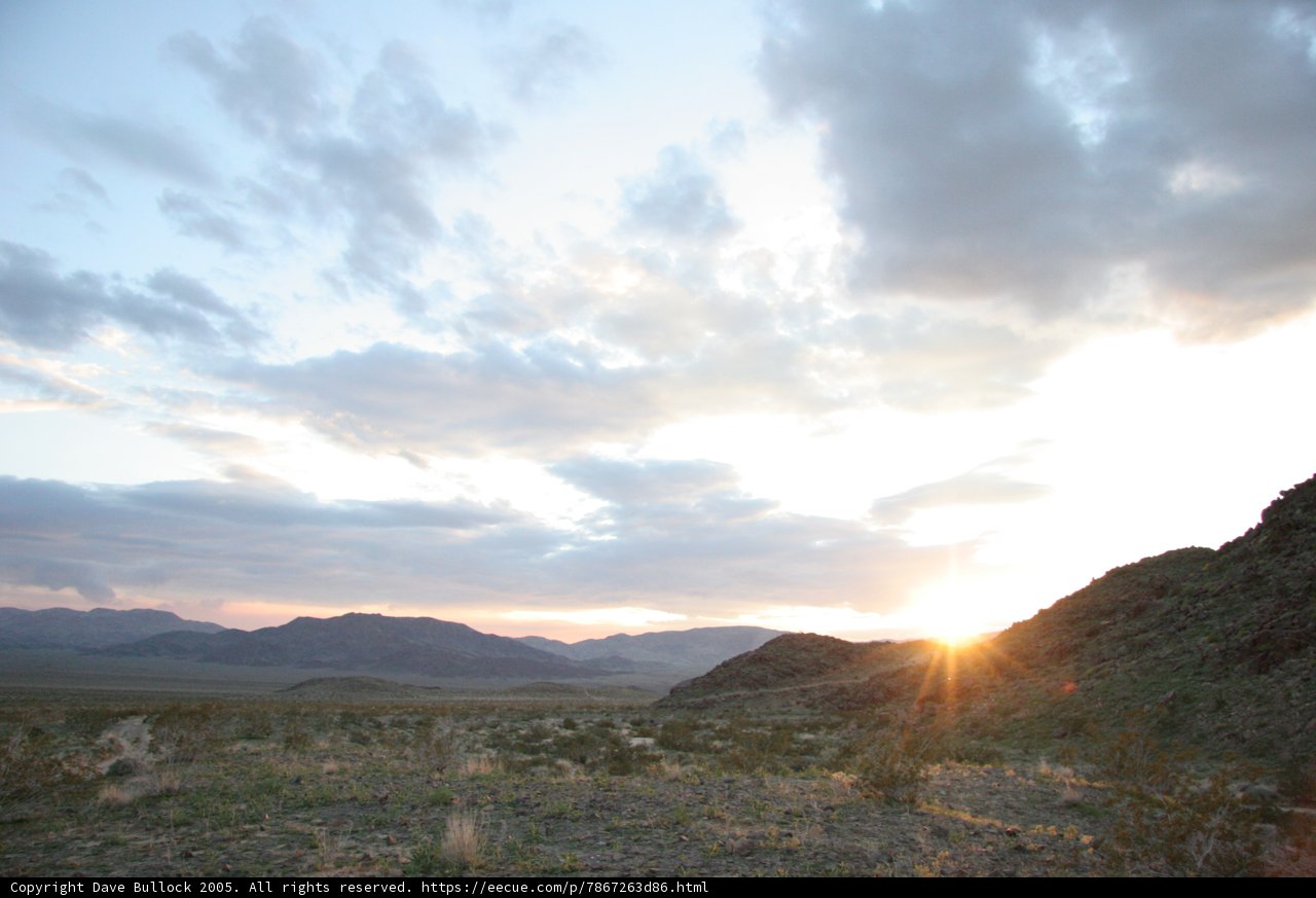 Desert Sunset
