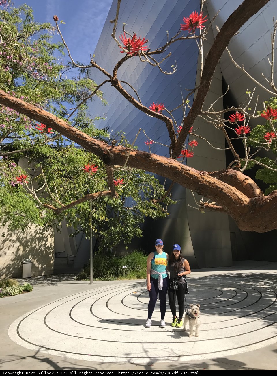 A Walk in the Garden