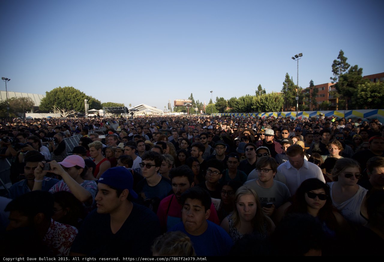 Wide Festival Crowd
