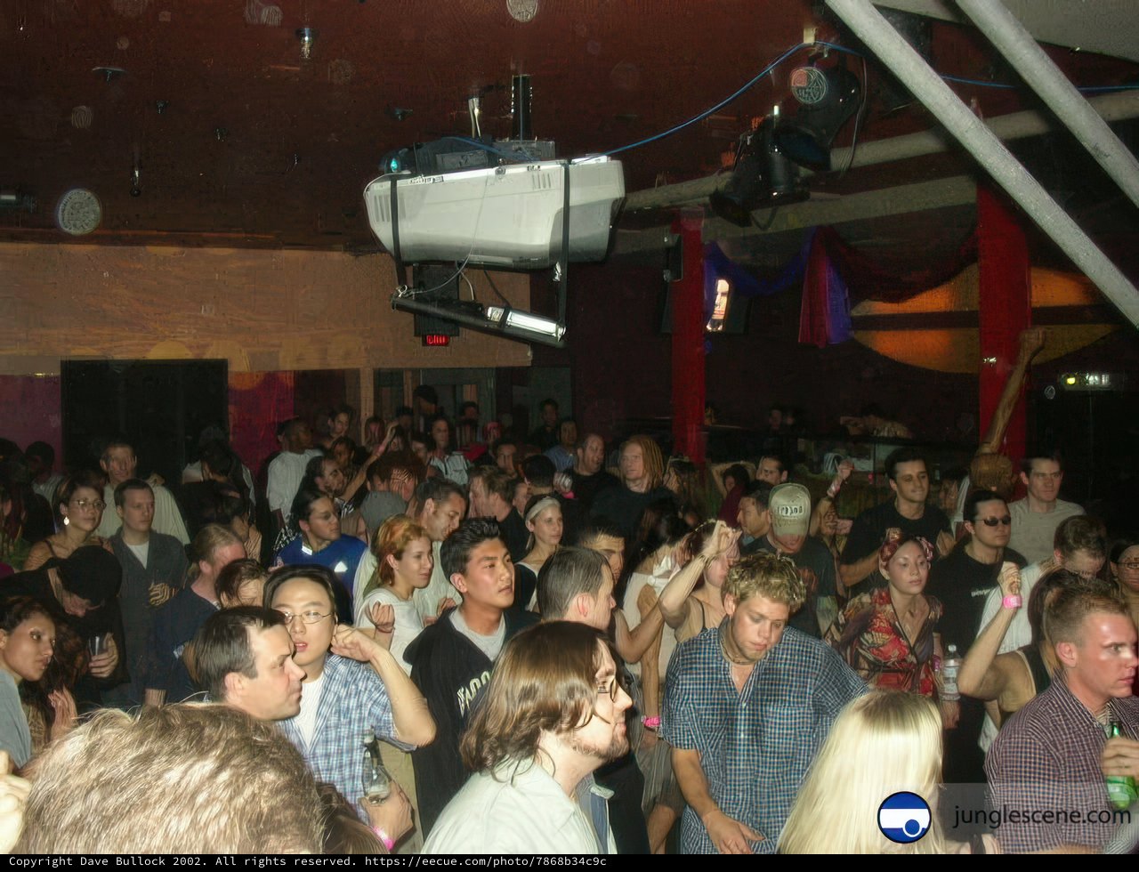 The Nightclub Crowd