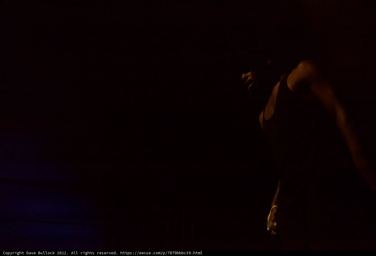 The Shadow Man