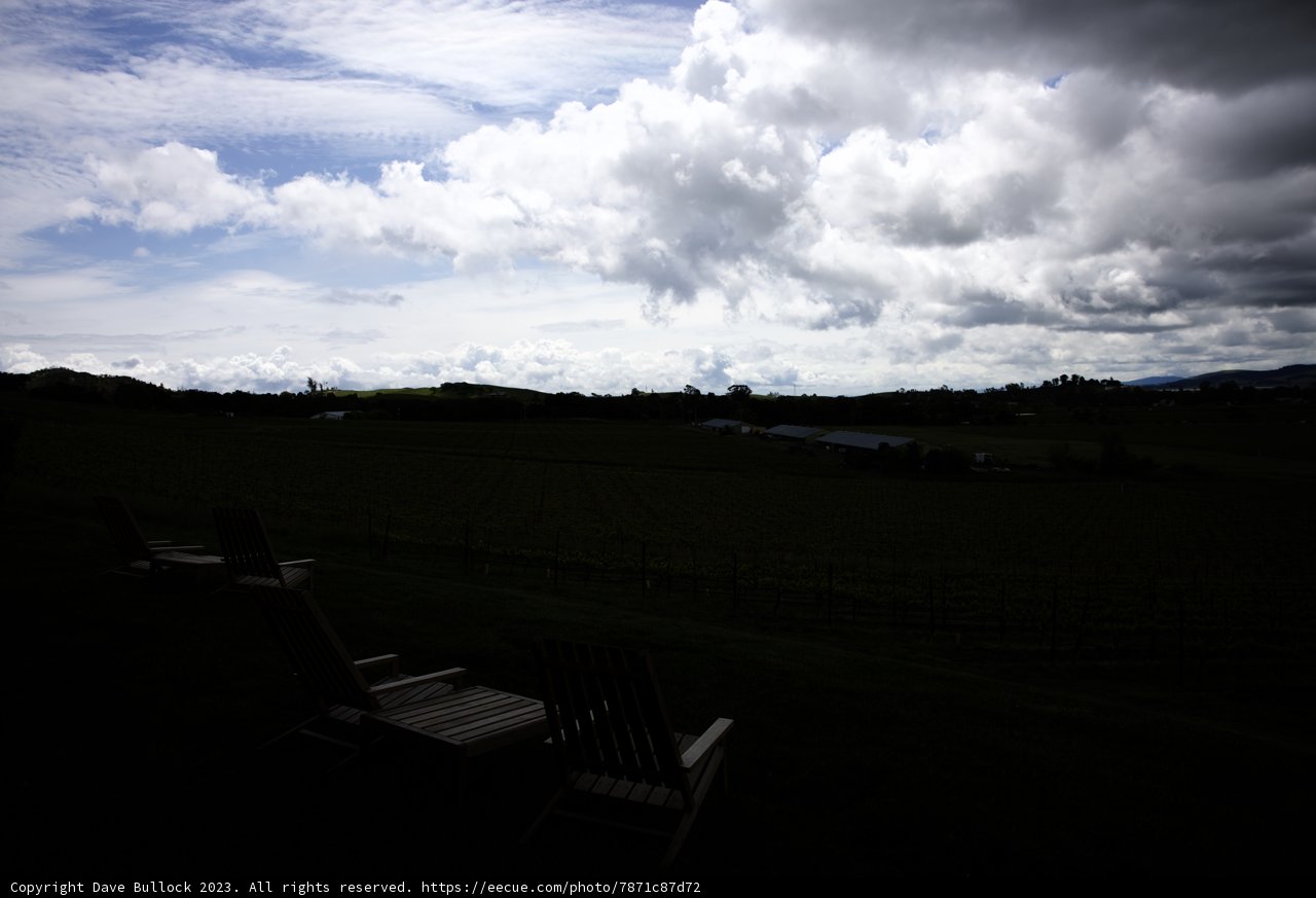 Serenity at Scribe Vineyard