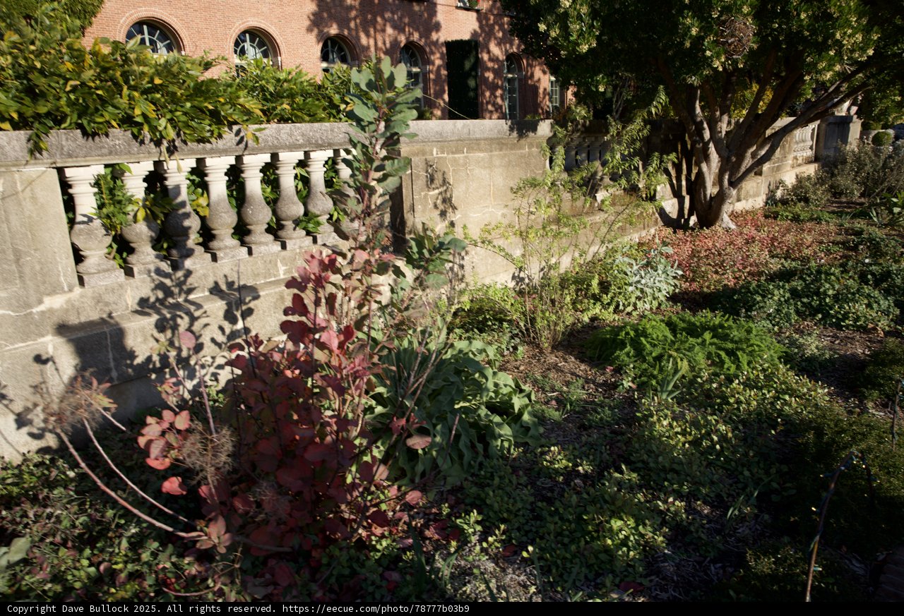 Serenity in Thistlewyck: A Garden's Embrace