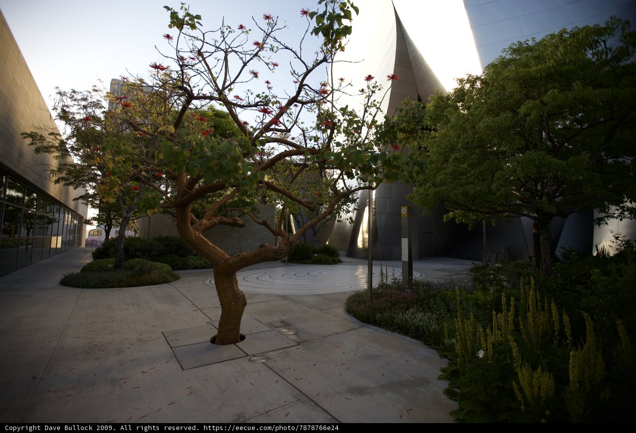 Serenity in the Courtyard