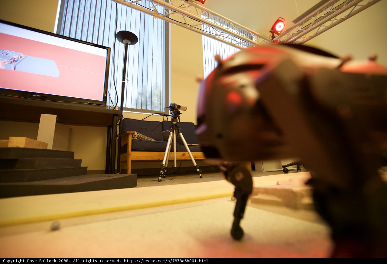 Robotic Entertainment Center