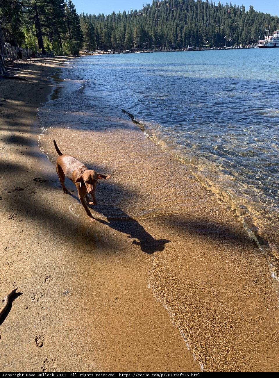 Summer Fun at Zephyr Cove