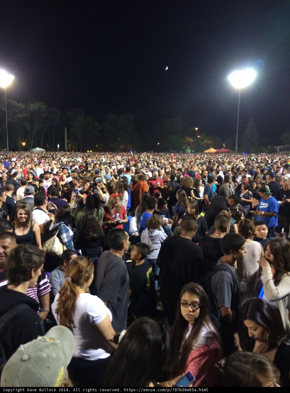 Nighttime Concert in the Park