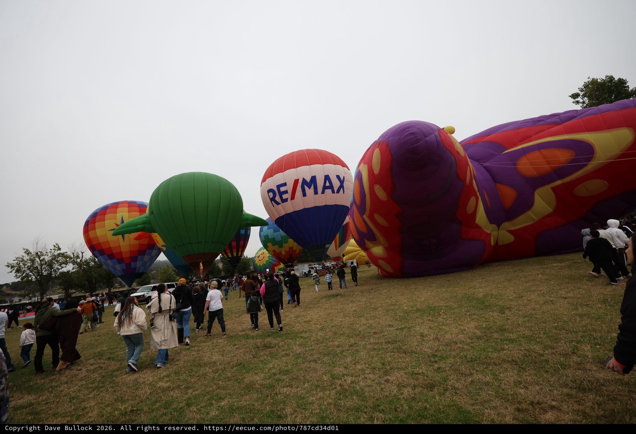 Colorful Hot Air Balloons Inflate at Sonoma County Classic