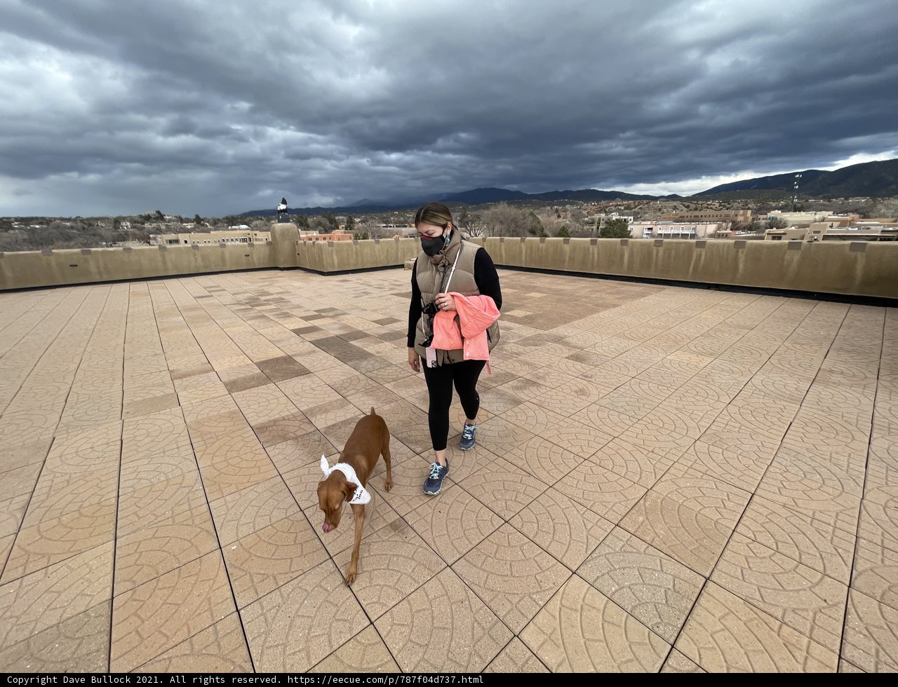 Rooftop Walkies