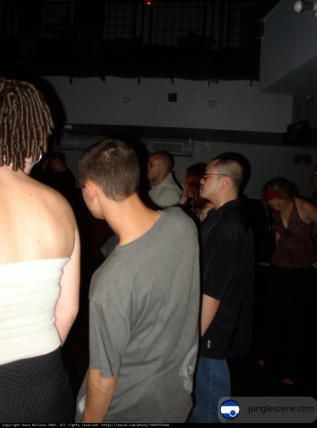 Nightclub Gathering