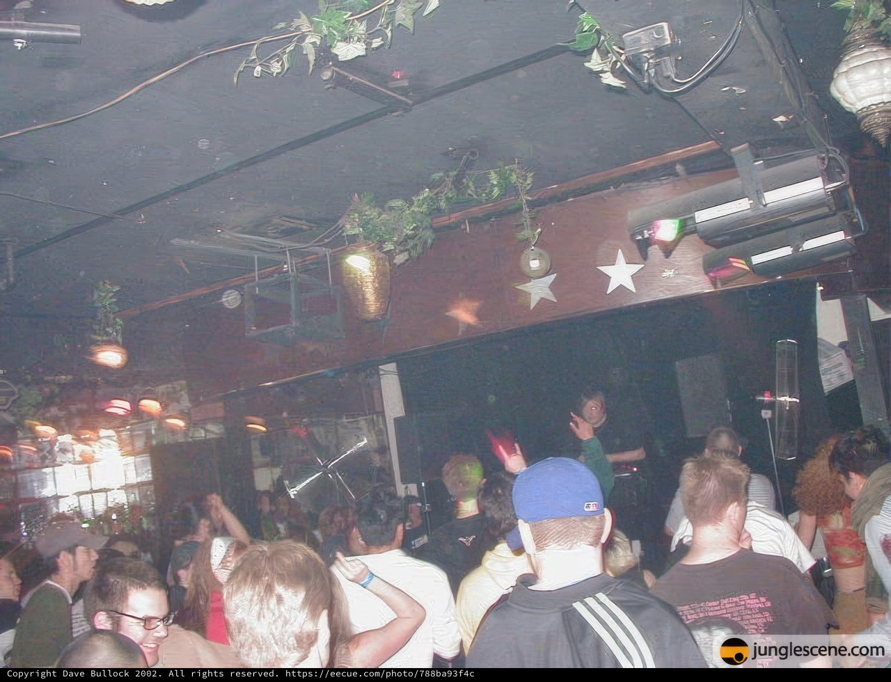 Nightclub Fun