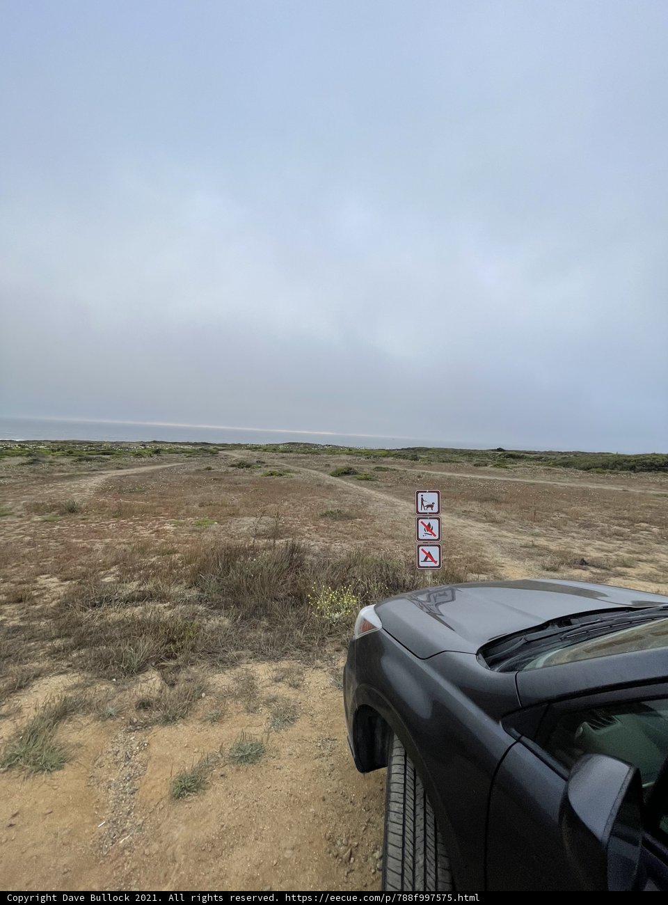 No Parking Zone