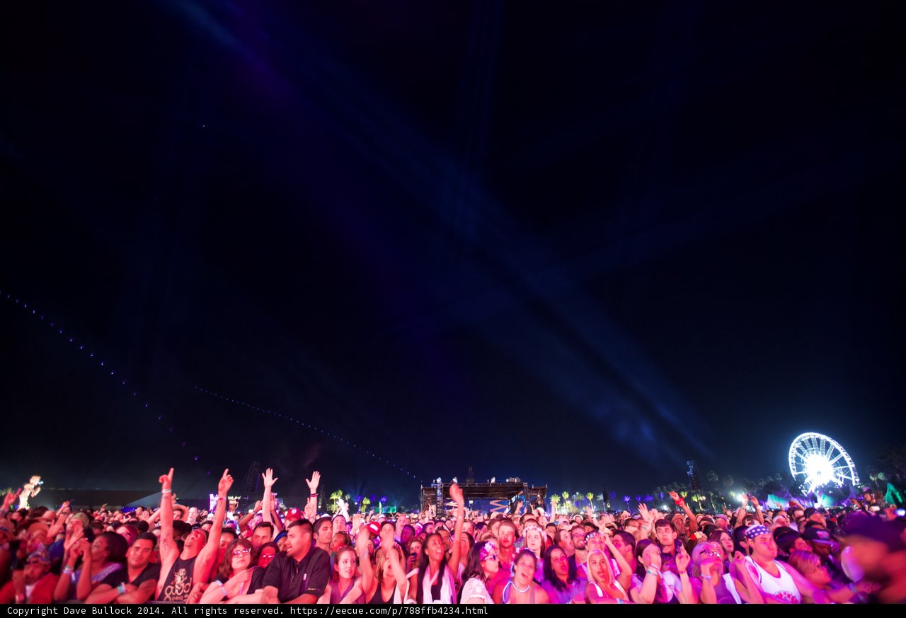 Festival Under the Night Sky