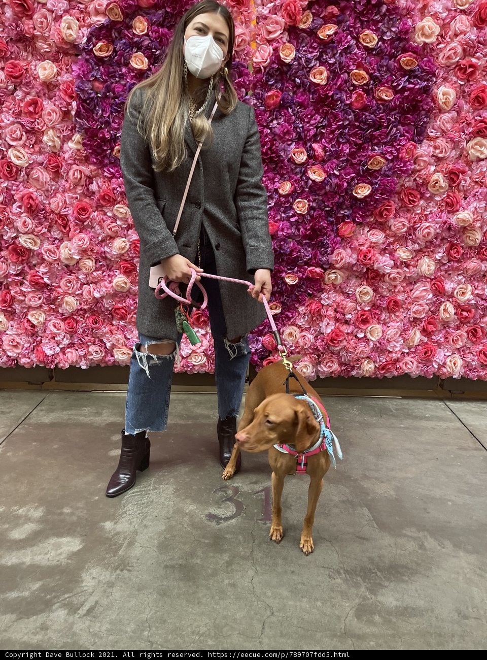Blooming Companion