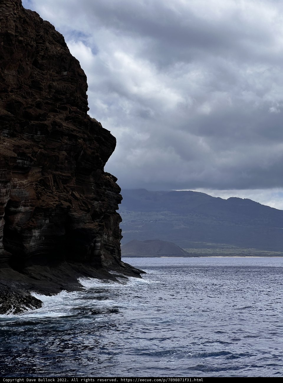 Majestic Promontory by the Hawaiian Coastline