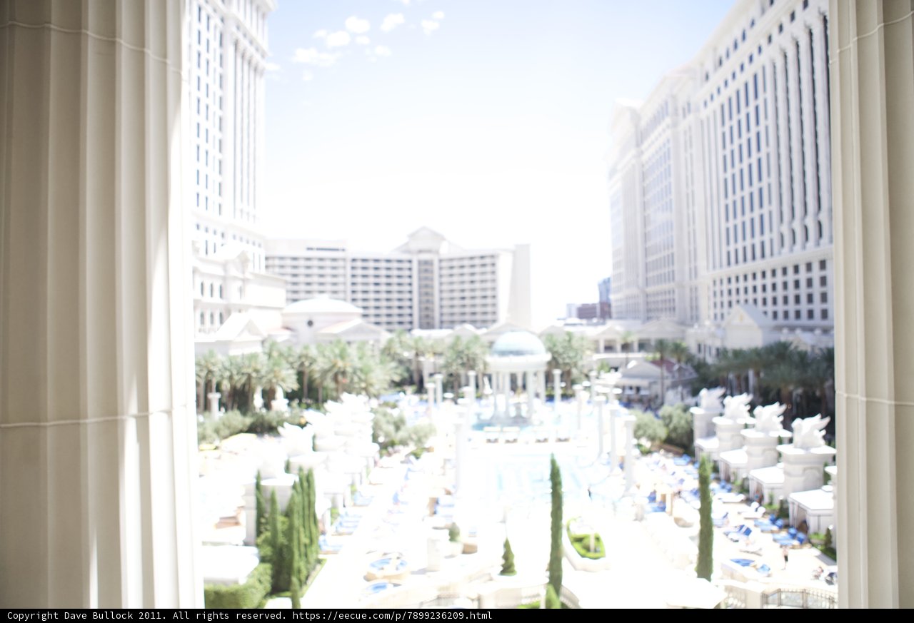 Serene View from a City Oasis