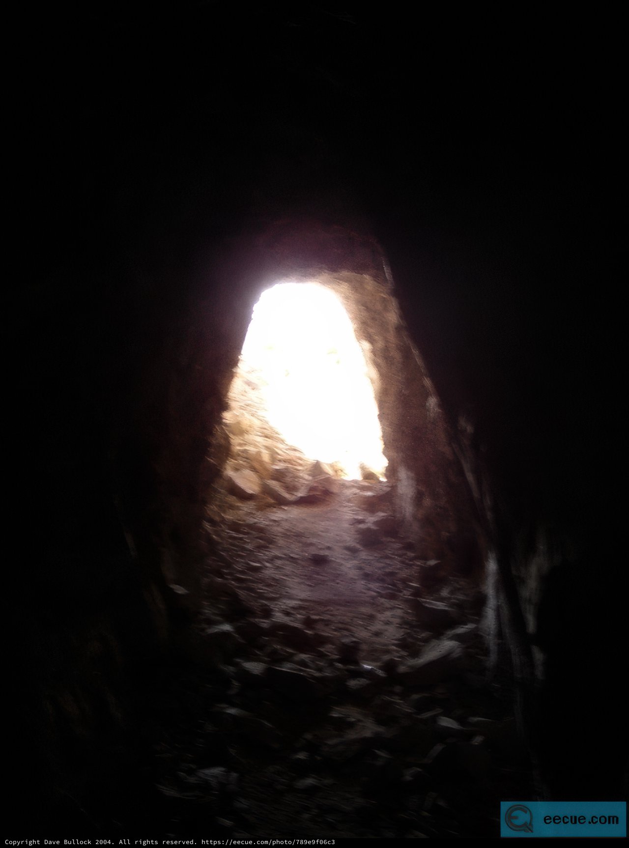 In the Depths of Nature's Crypt
