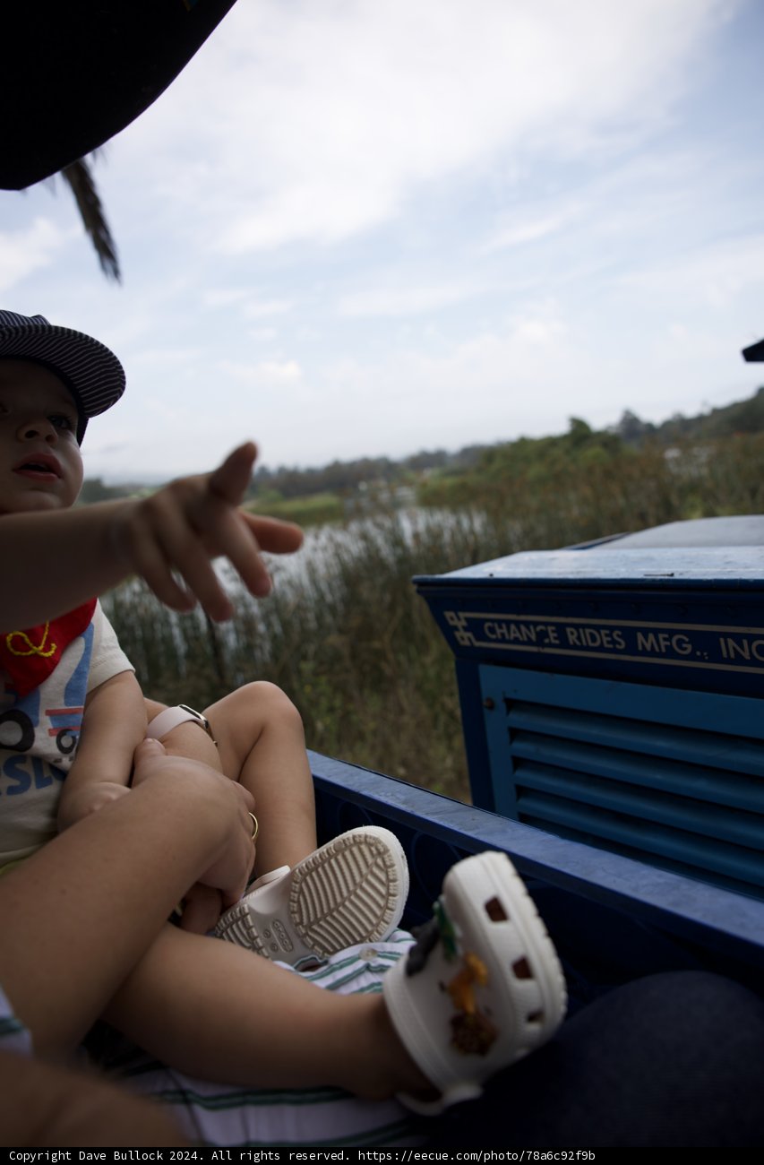 Adventure at the Park