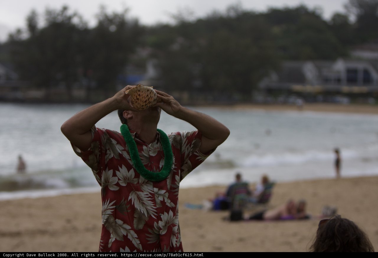 Hawaiian Vacation Vibes