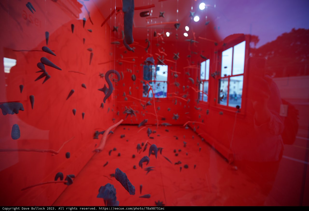 Crimson Depths and Monochrome Treasures