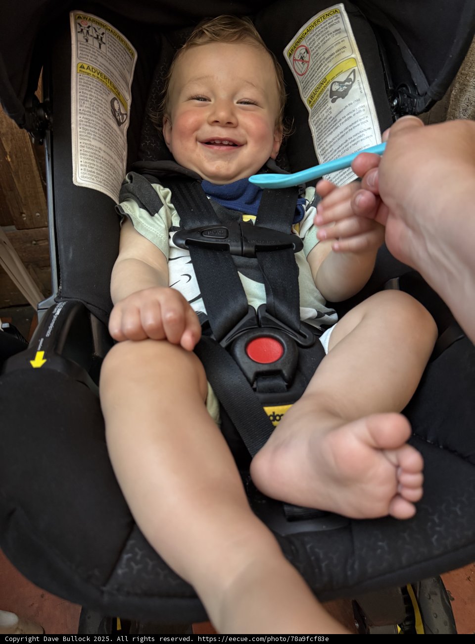 Joyful Moments in Walnut Creek