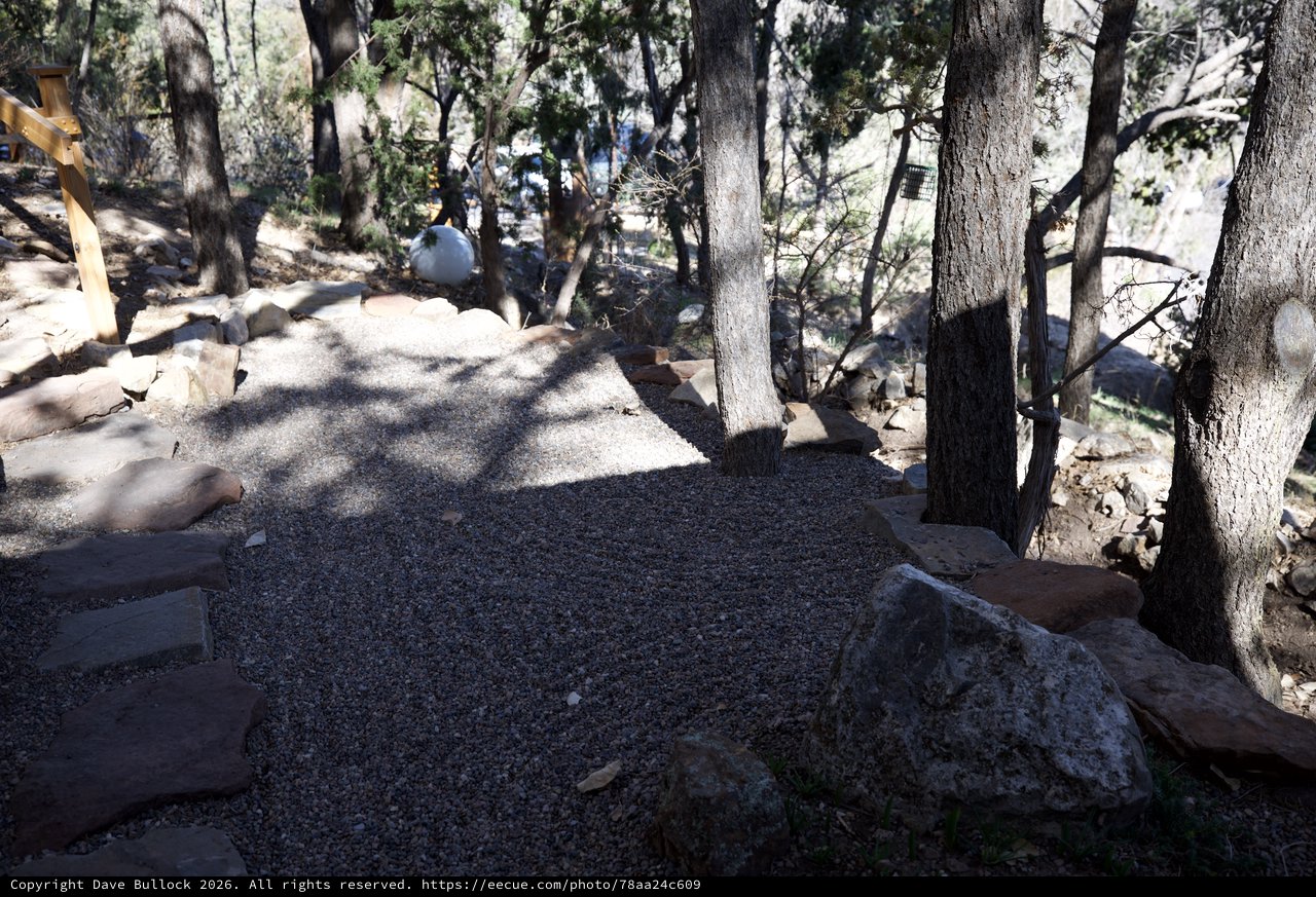 Secluded Forest Gravel Camping Pad Among Pines
