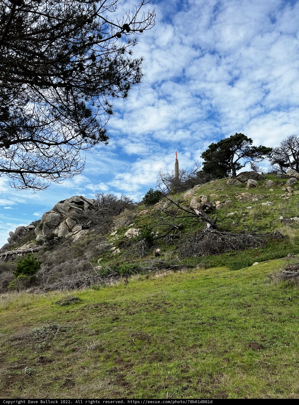 Hillside Bliss