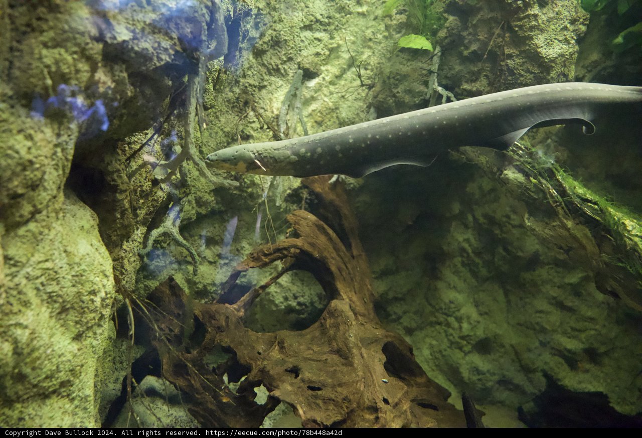 Majestic Sea Life Encounter