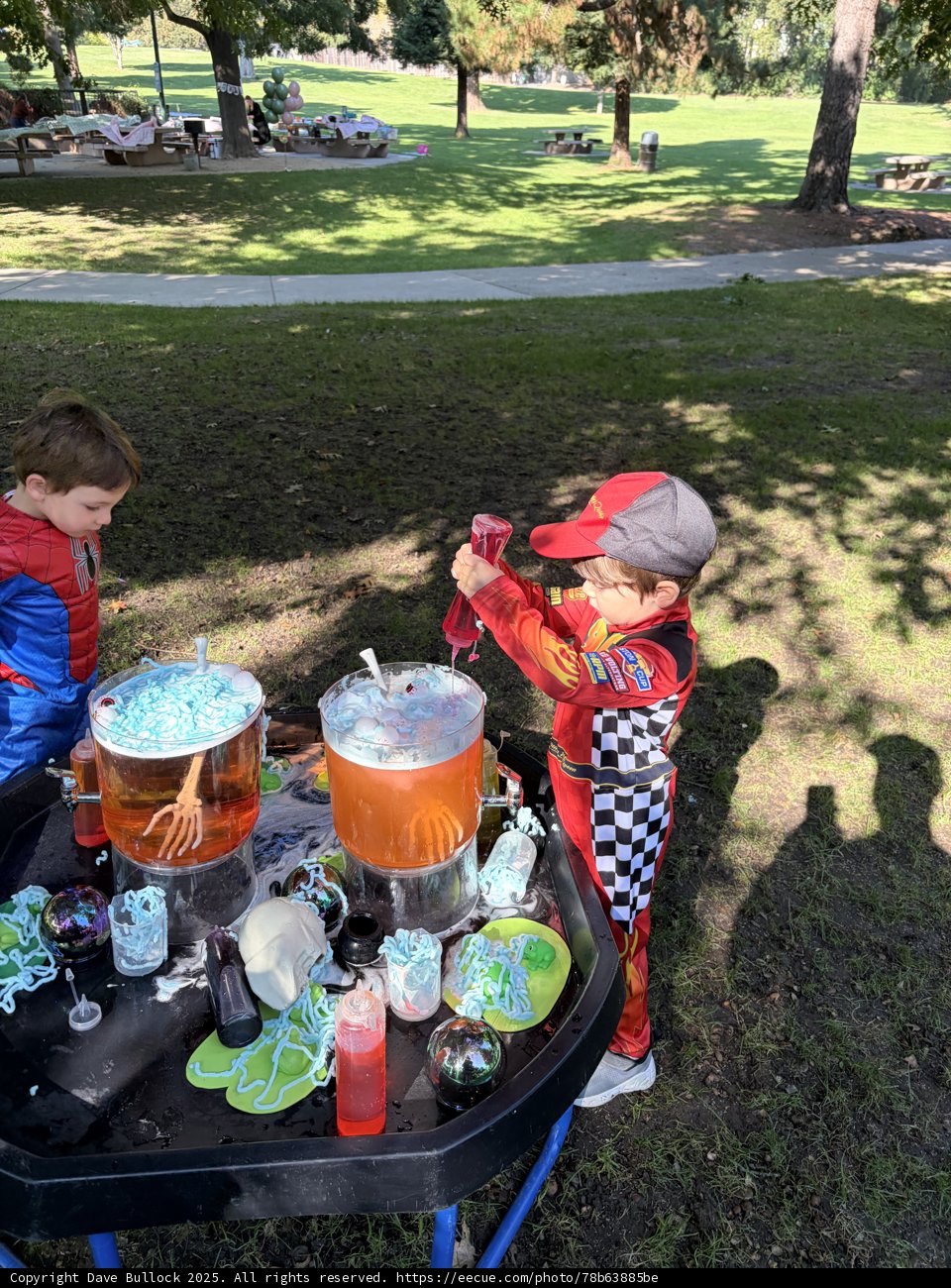 Autumn Adventures in Larkey Park
