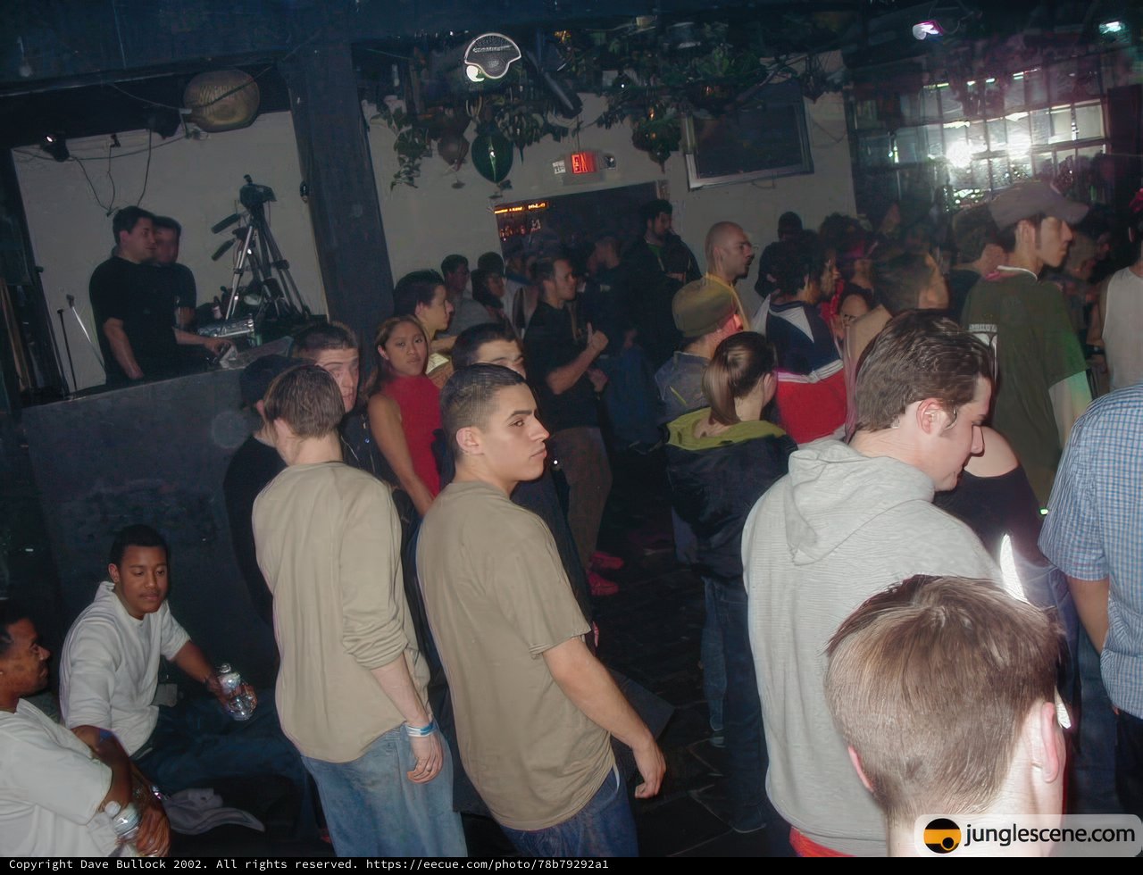 Nightclub Crowd