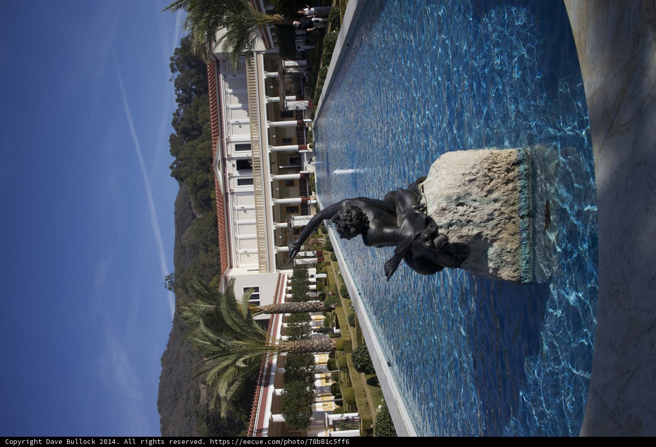 The Canine Sculpture at Villa Hacienda