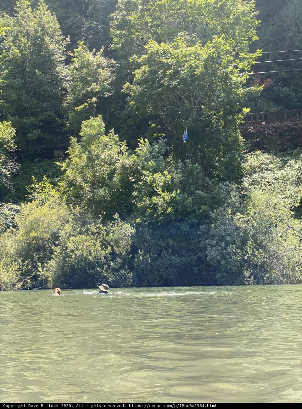 Kite-Flying Fun on the Russian River