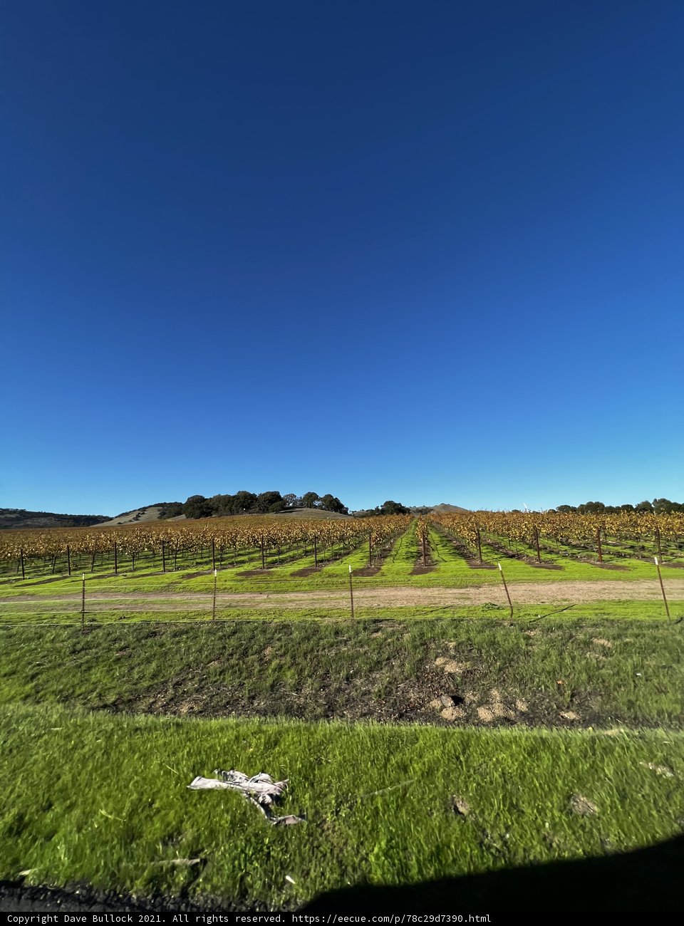 A Bird's Eye View of Napa Valley's Vineyards
