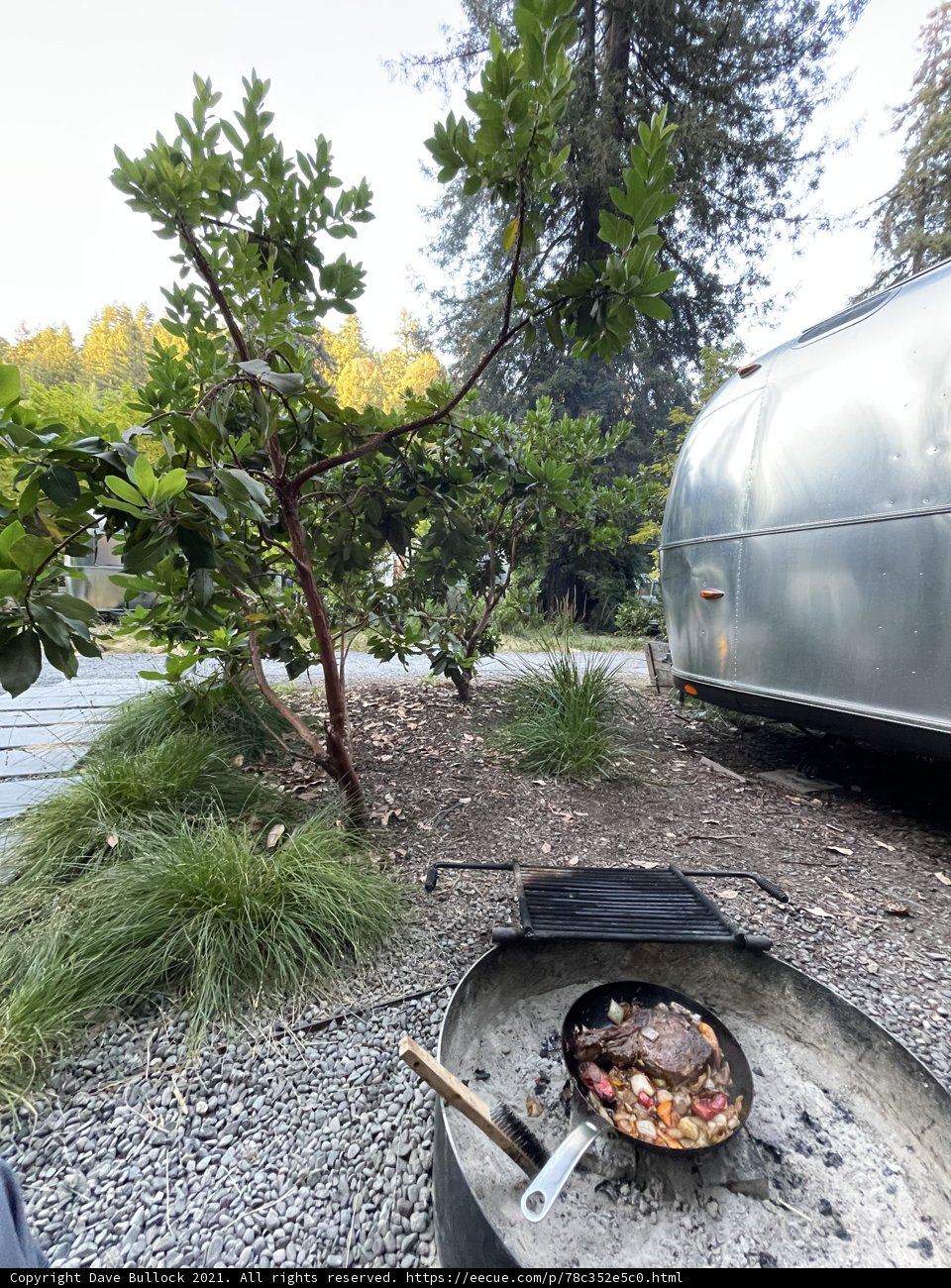 Trailer Life at Guerneville