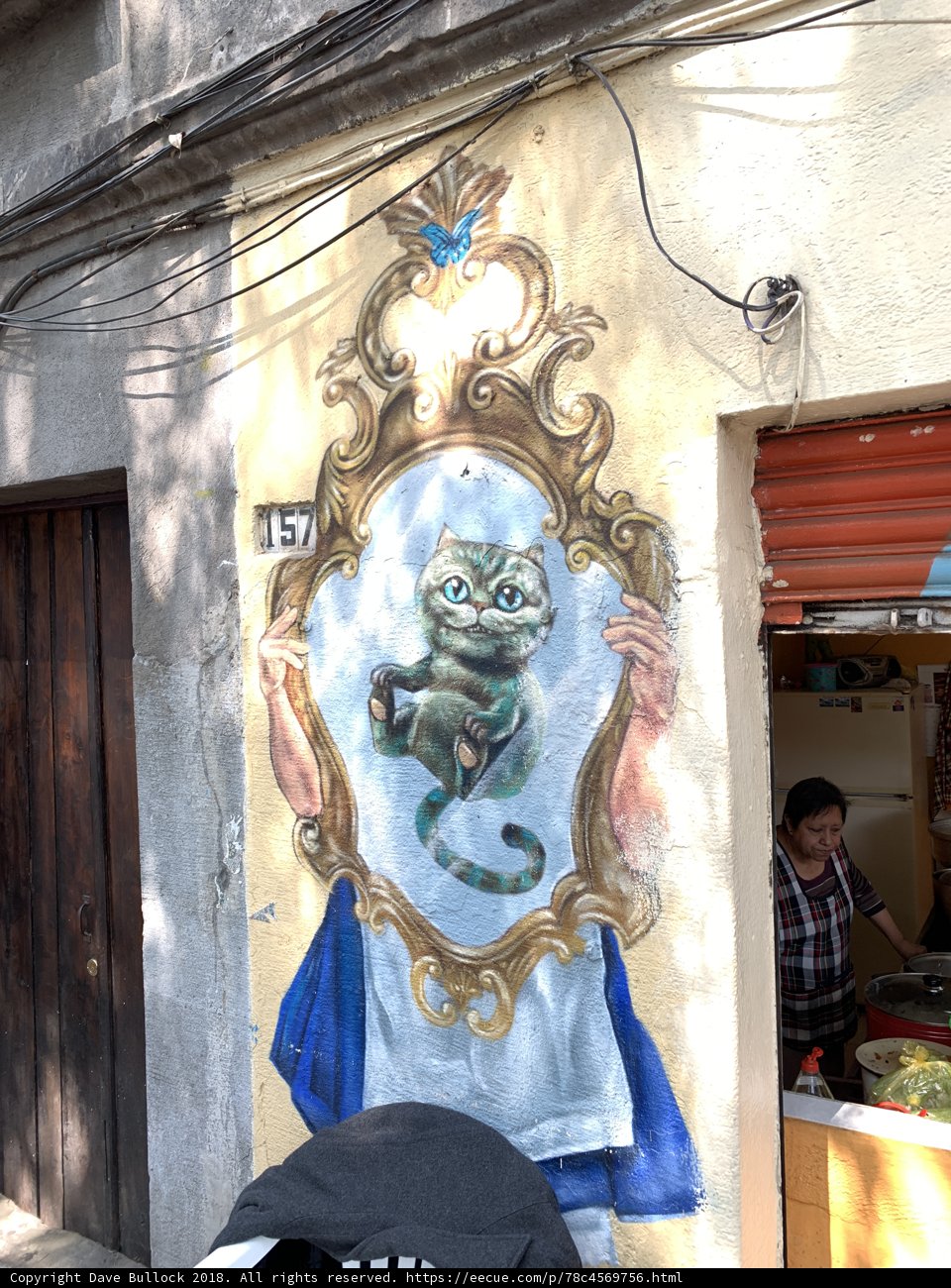 Feline Mural