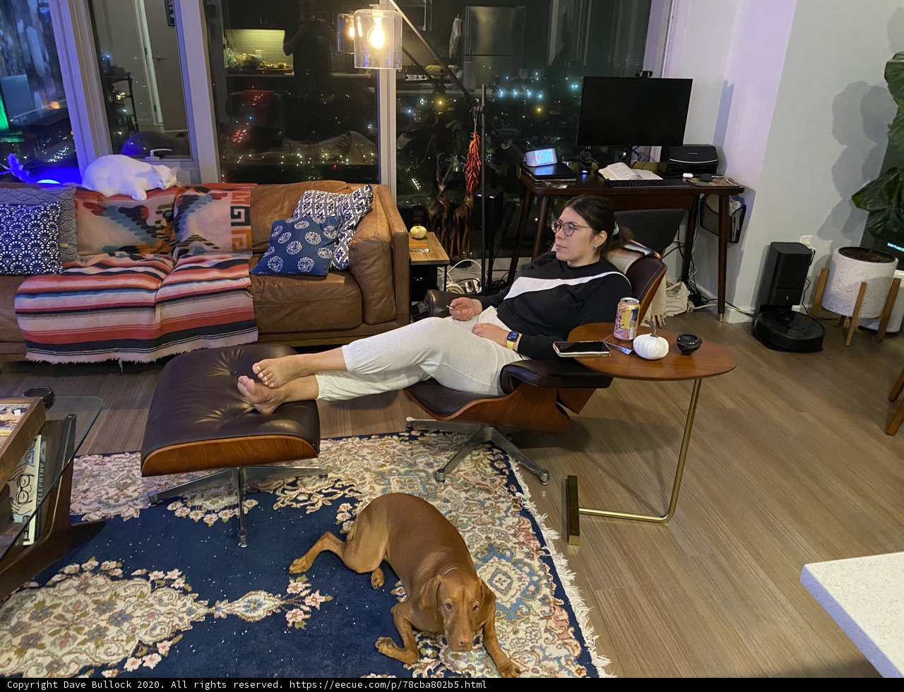 Cozy Living Room with Furry Companion