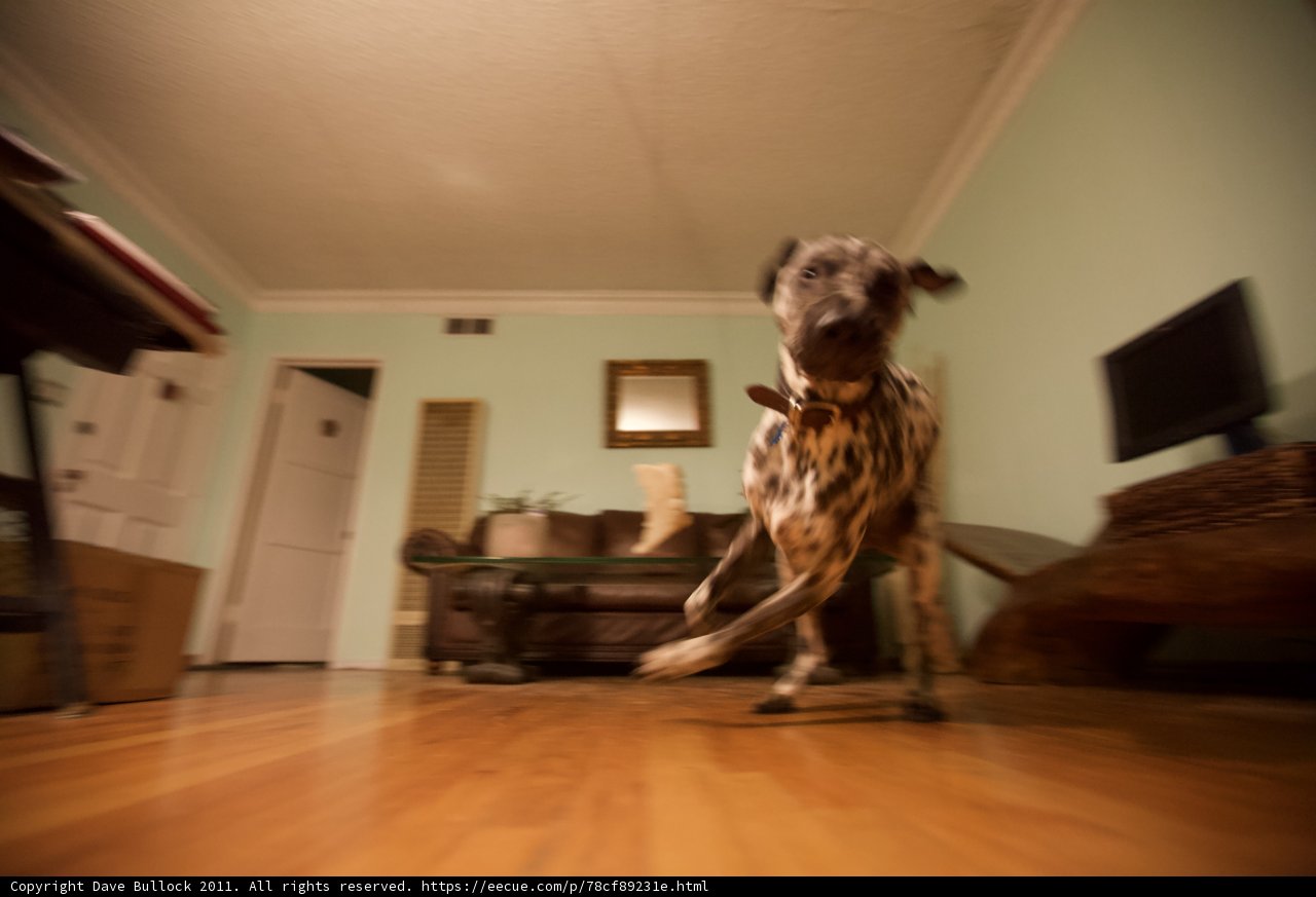 Playtime in the Living Room