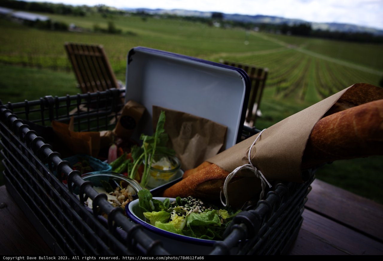 Napa Valley Picnic Bliss