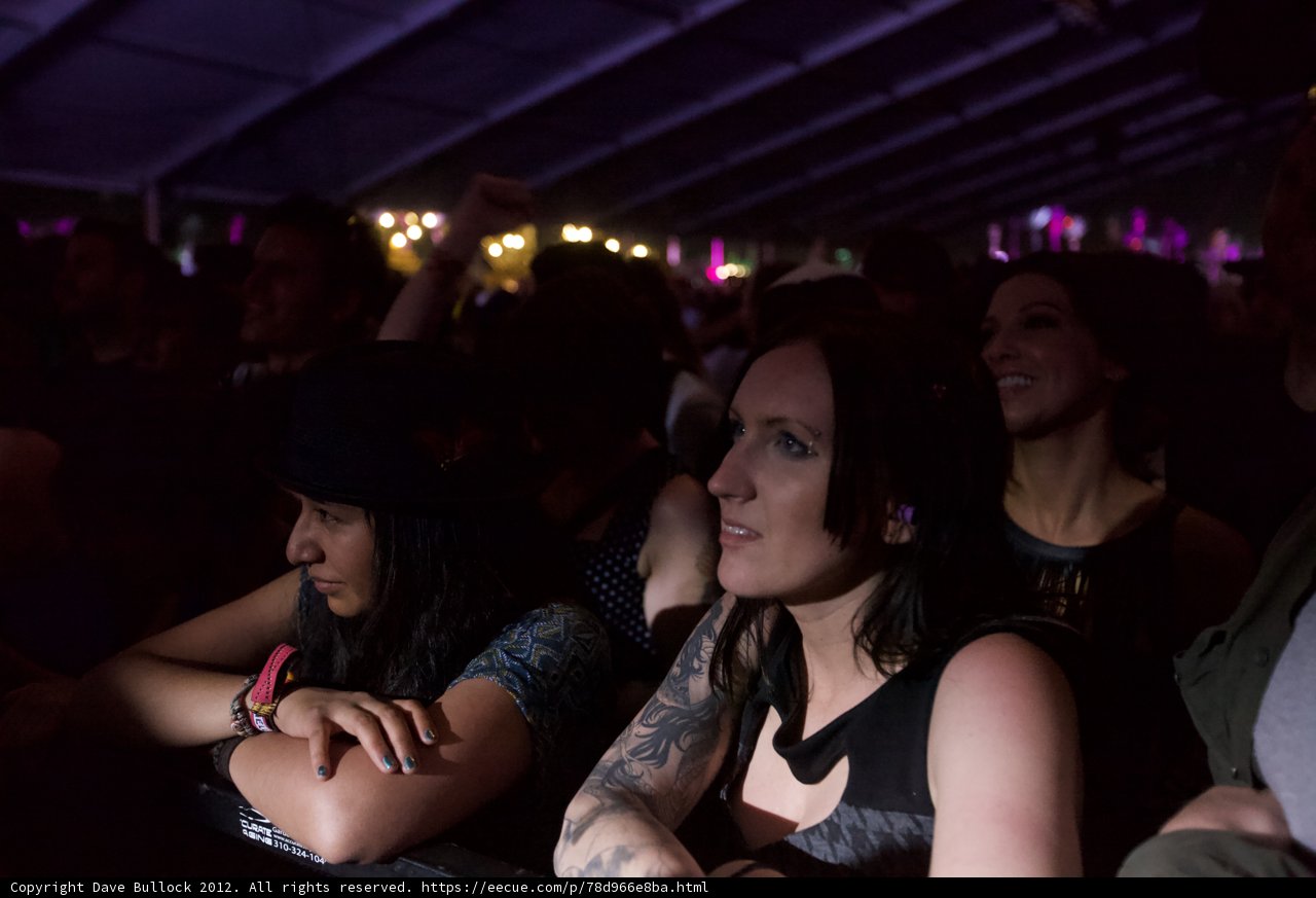 Inked in the Nightclub