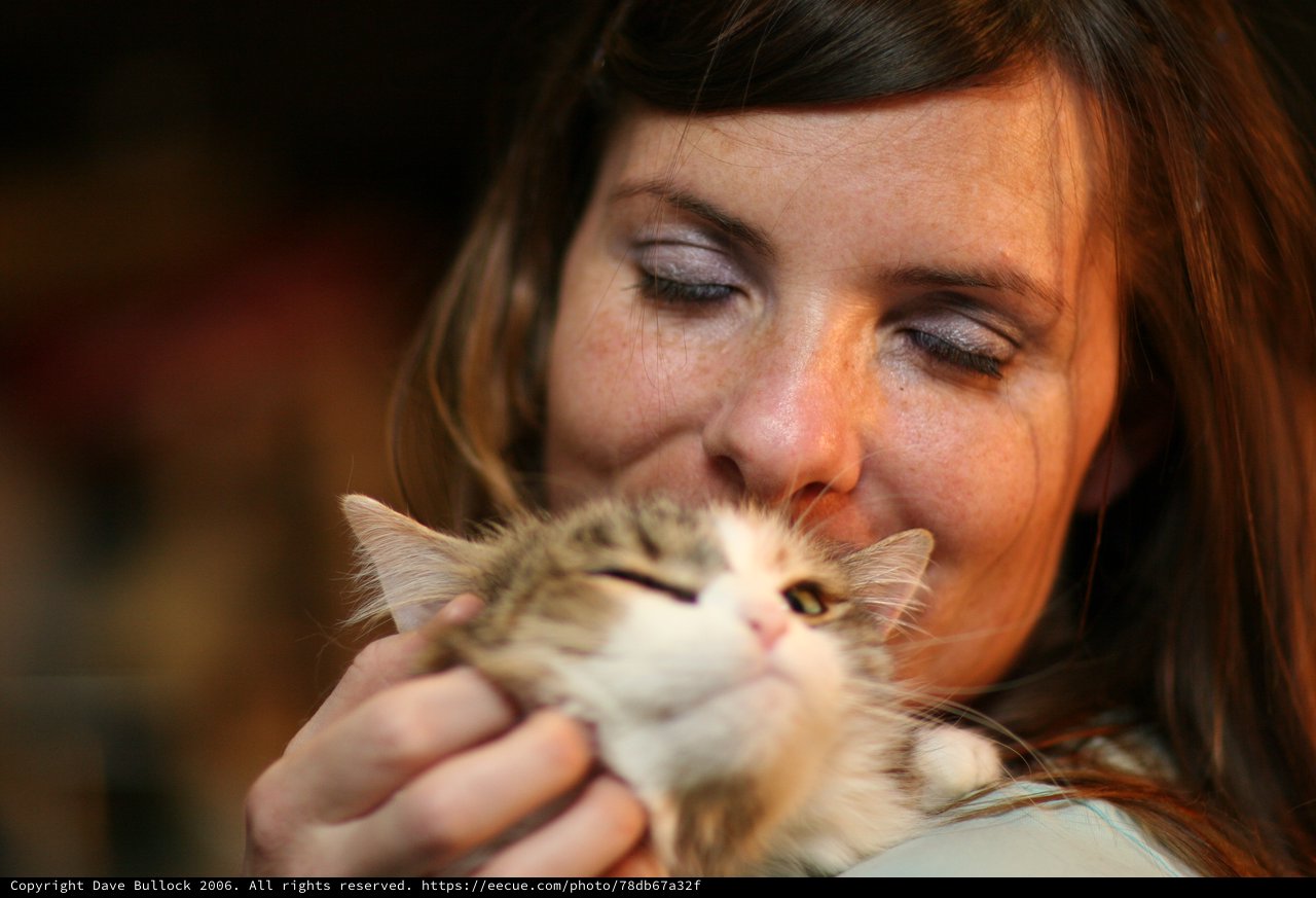 Tender Moment: Woman Nuzzles Fluffy Kitten Lovingly