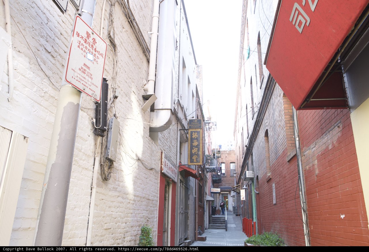The Red-Lined Alleyway