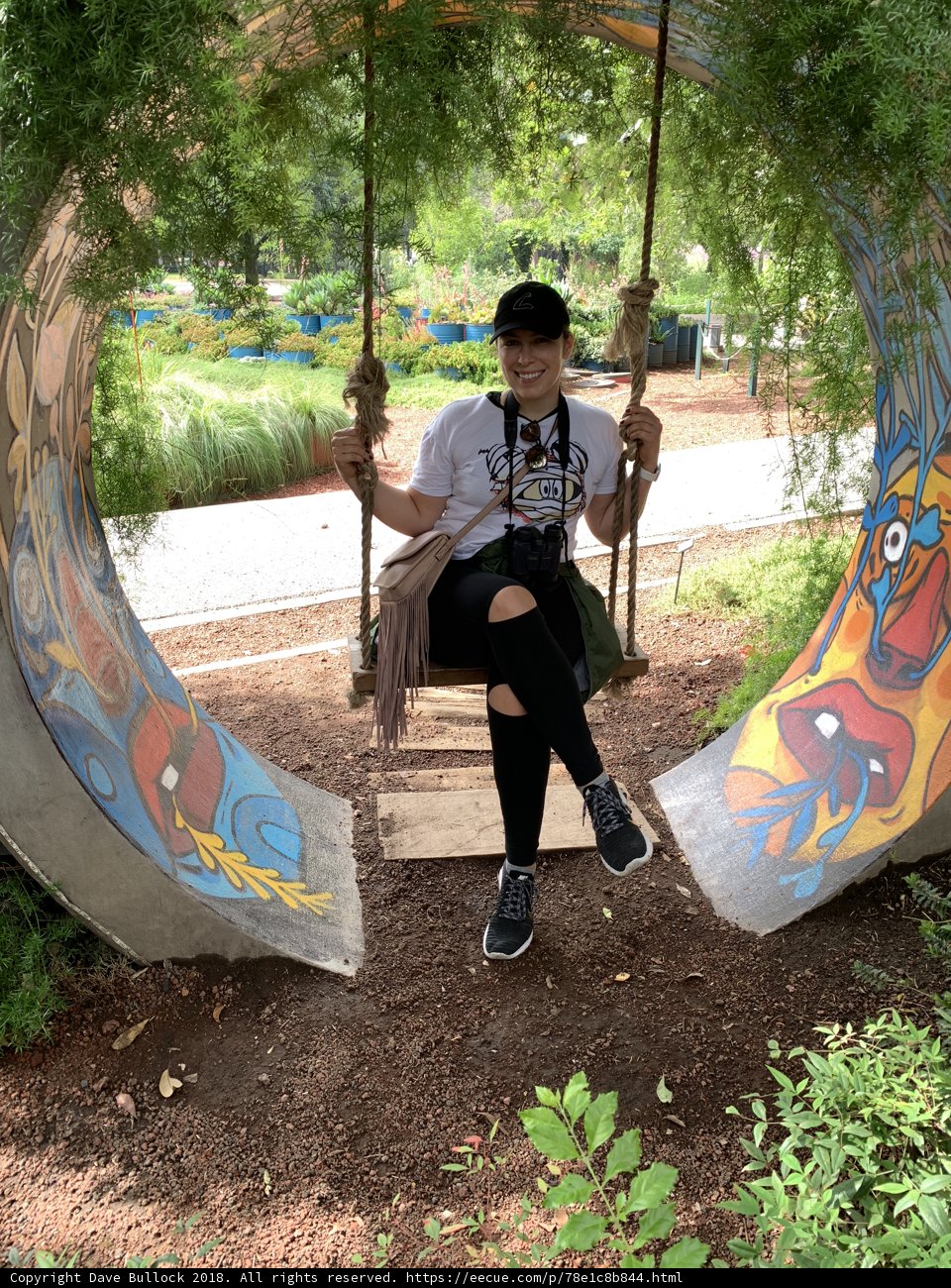 Swingin' in the Park