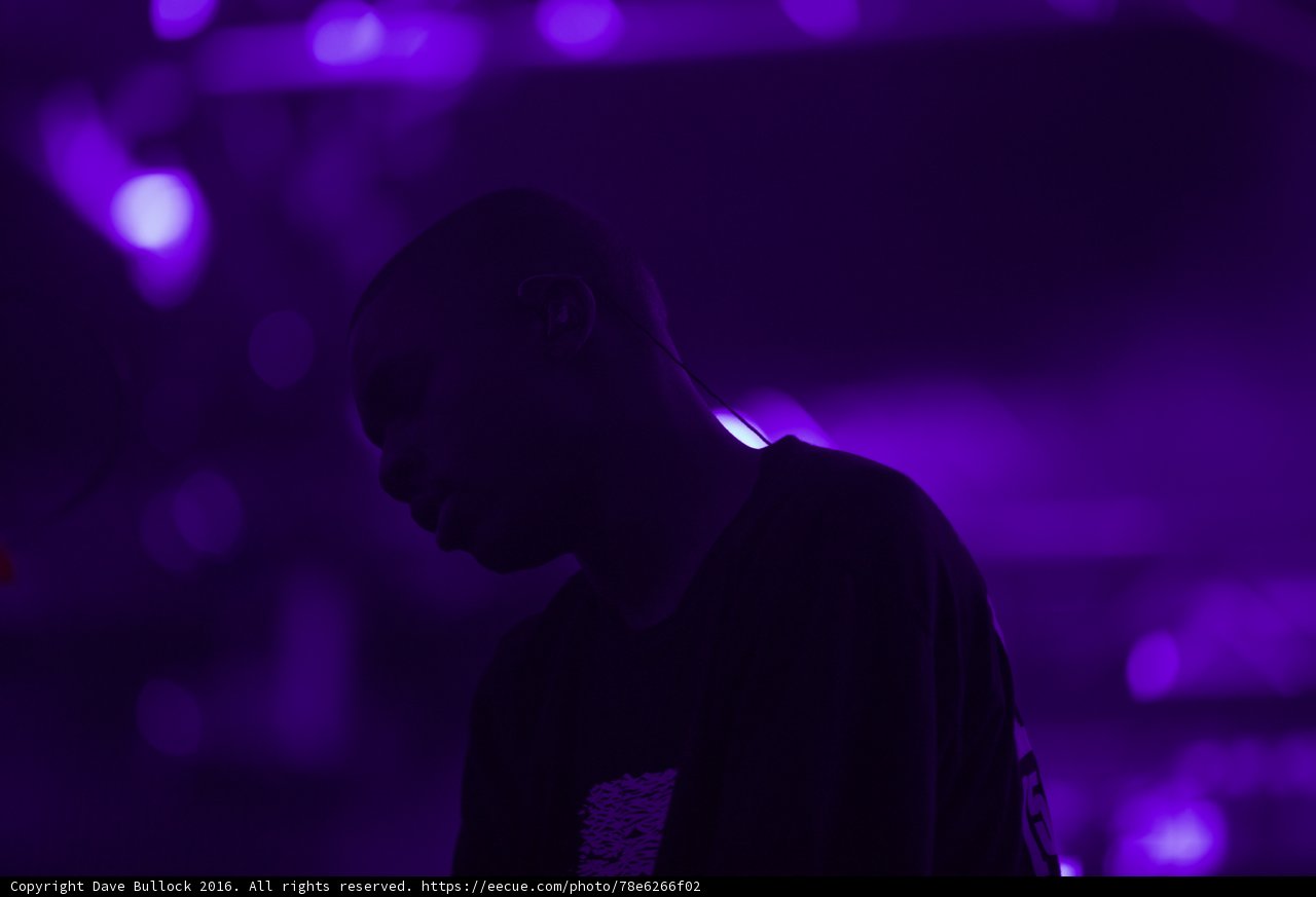 Purple Haze