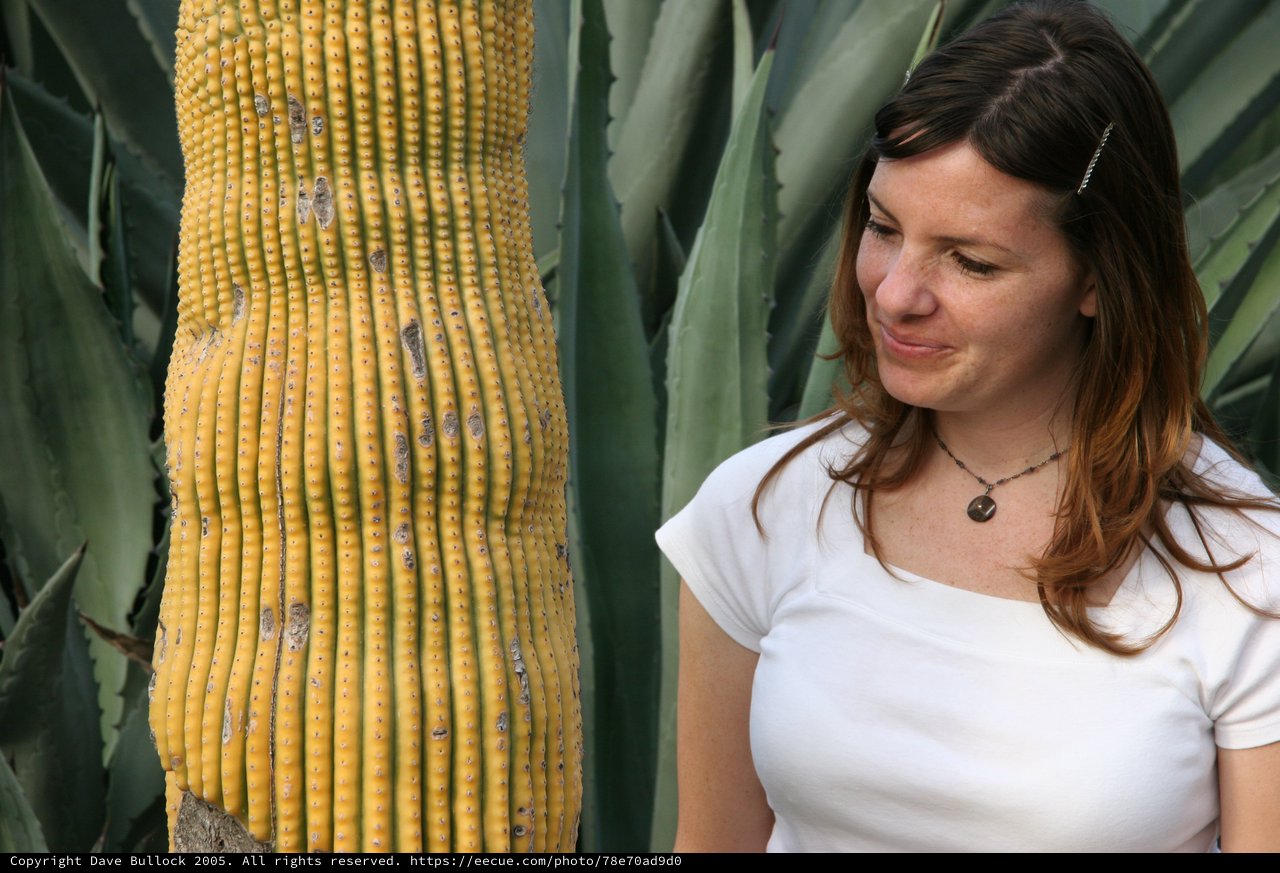 Woman Smiling Beside a Yellow Saguaro Cactus